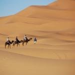 Excursions à Merzouga